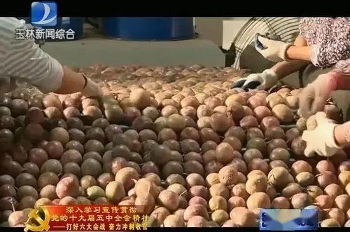 玉林市加快完善电商基础设施，助推特色农产品电商产业高质量发展