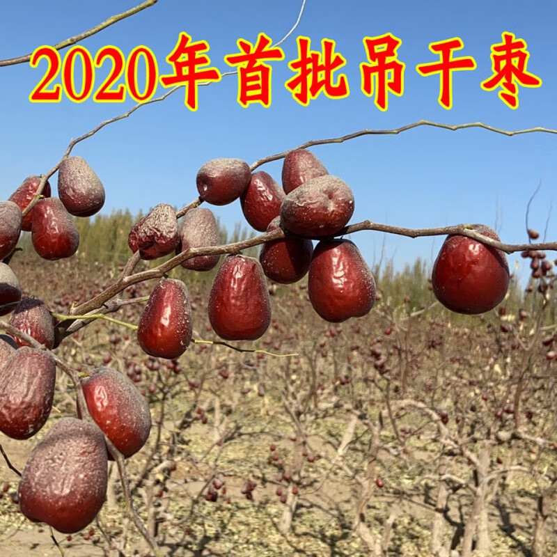 新疆和田大红枣 天然营养，健康零食新选择