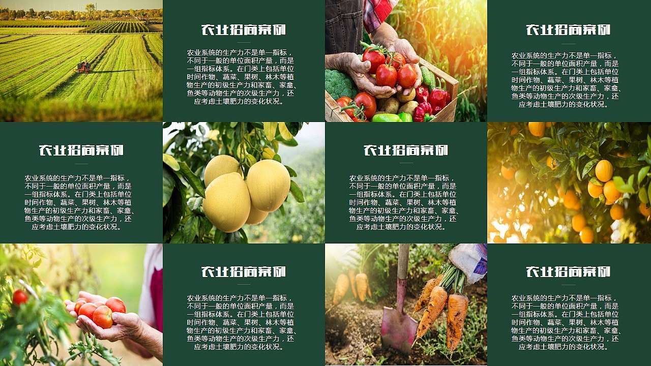 绿色生态农业招商农产品PPT模板企业宣传演示模版